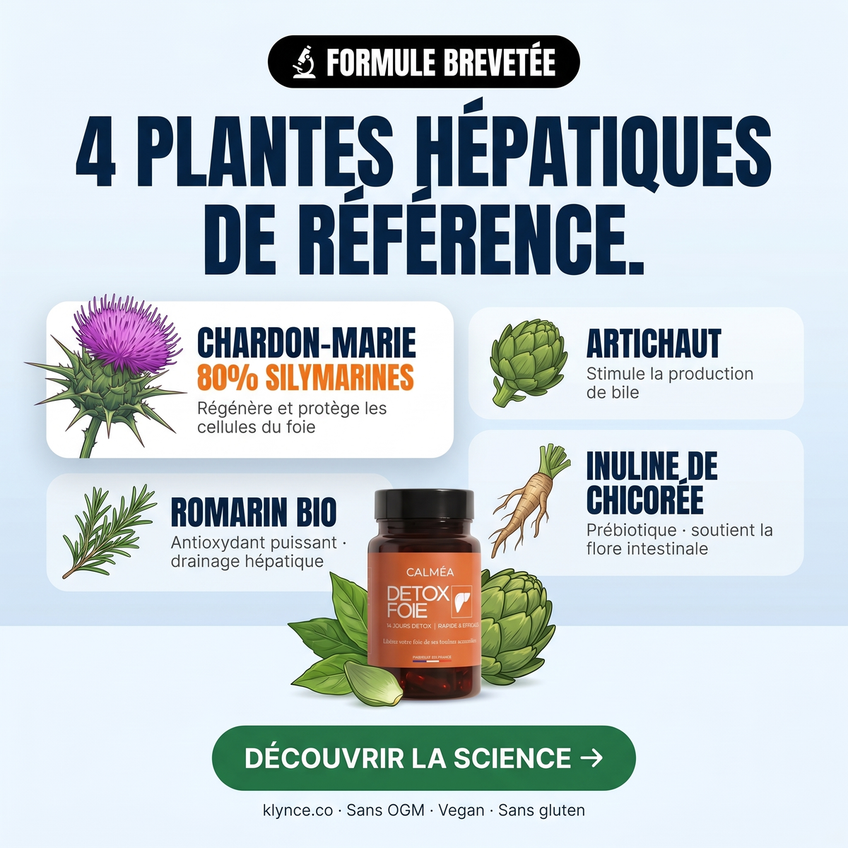 Detox Foie - Libérez votre foie de ses toxines accumulées
